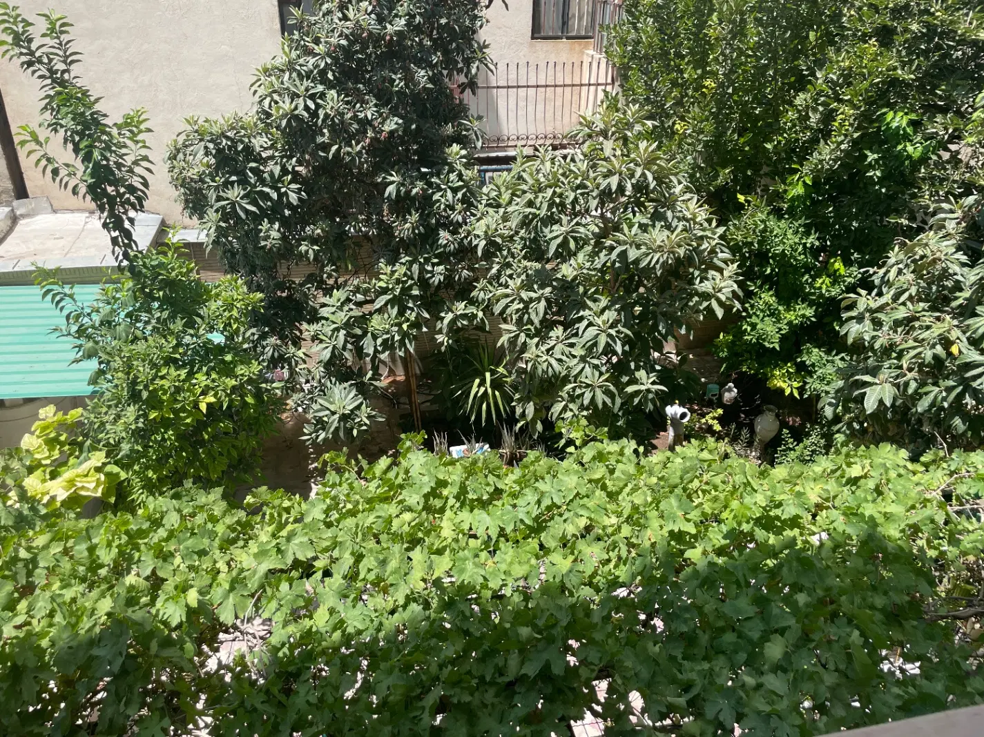 کلنگی ۲۰۰ متری با پروانه