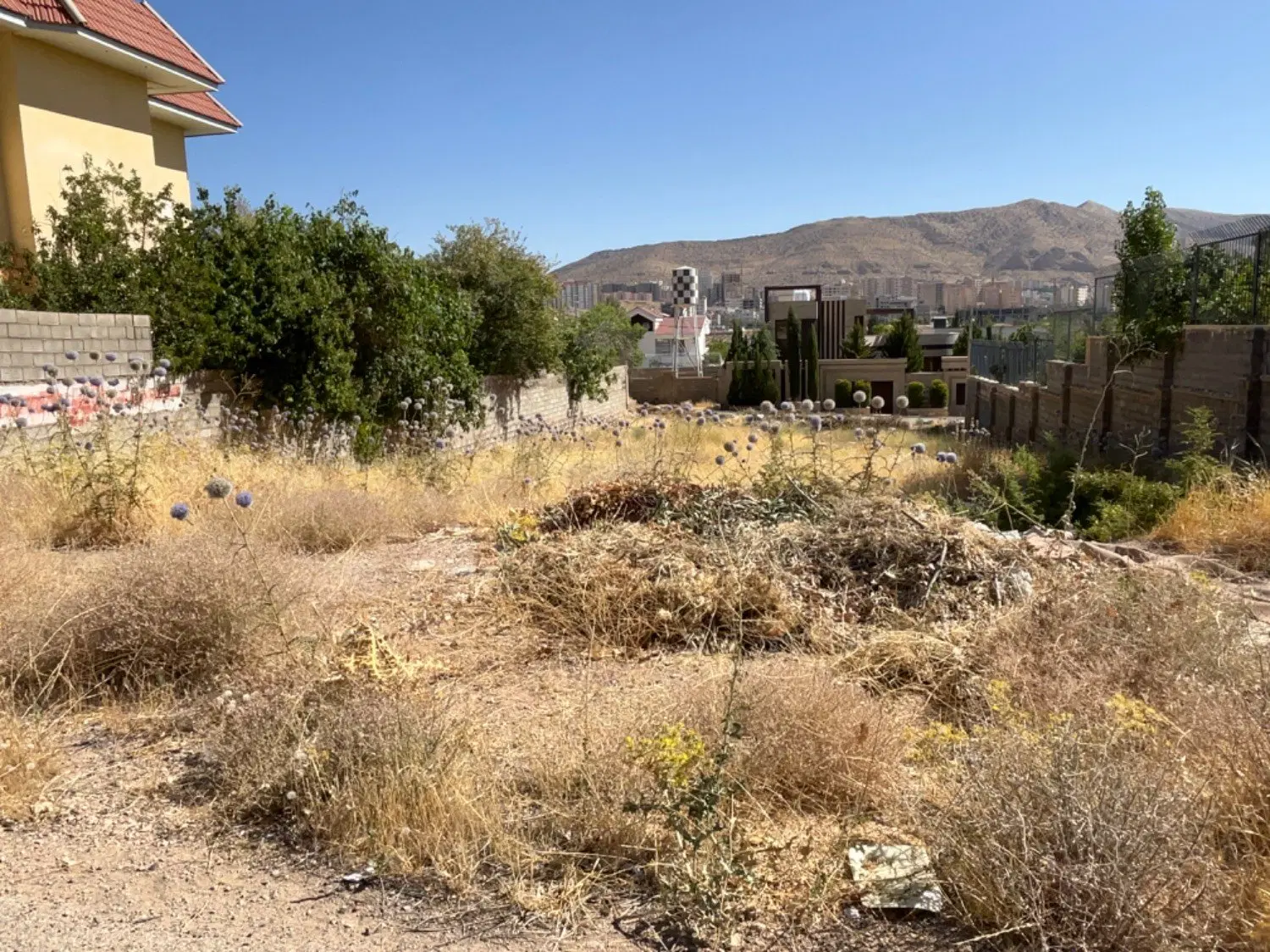 زمین باغشهری