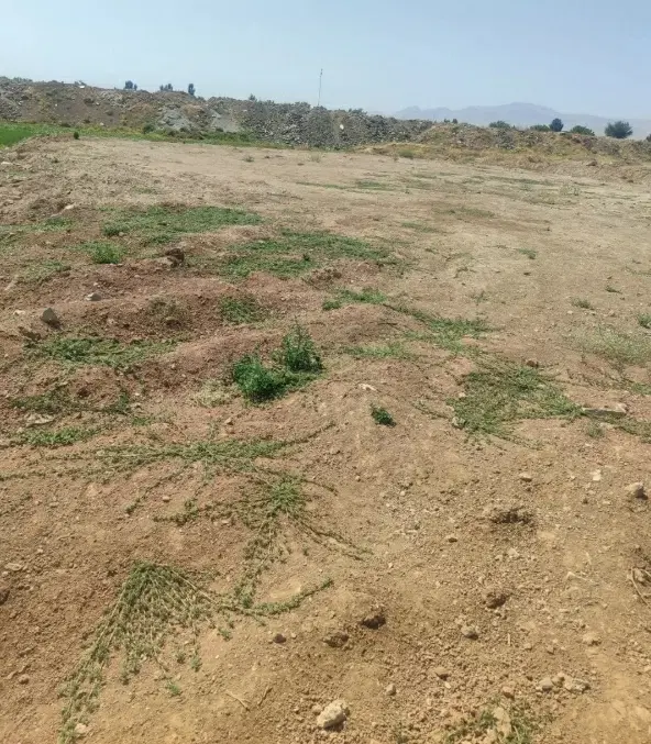 1000متر زمین وسط شهر