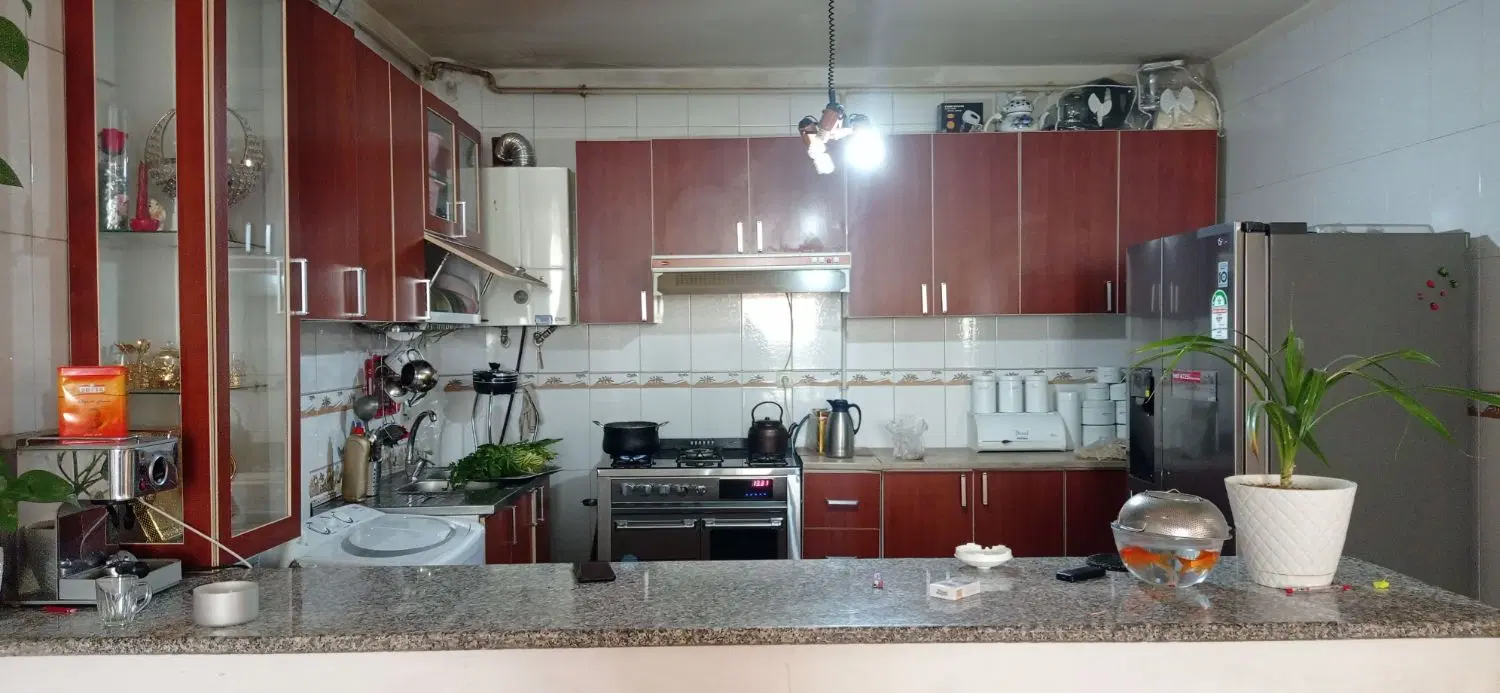 خانه ناصردین شاهد 36