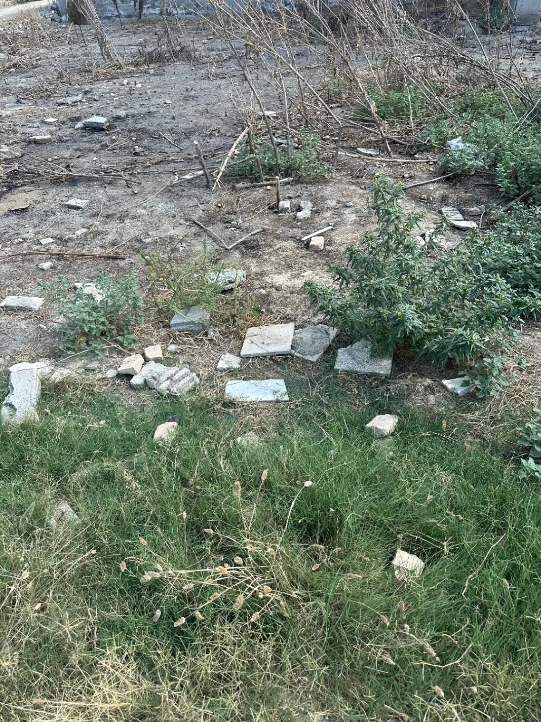 زمین فروشی اوزینه