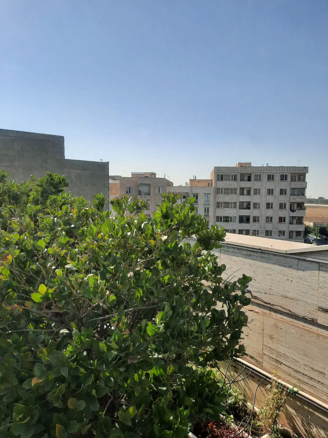 اجاره آپارتمان ۸۳ متری خیابان چالوس فرهنگیان
