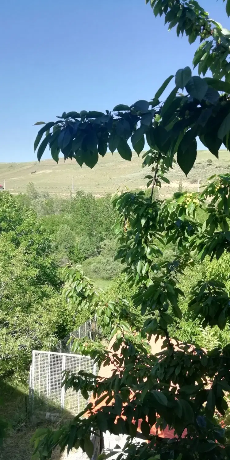 اتاق با بالکن