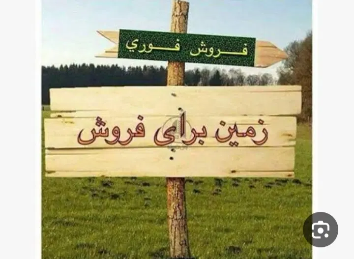 زمین چسبیده ب بافت