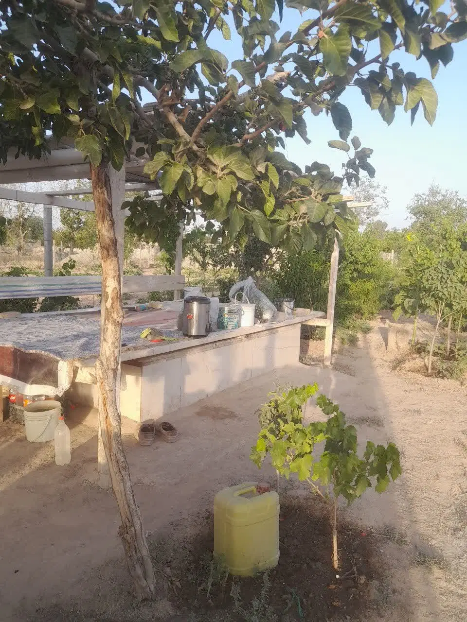 باغچه 450 متری