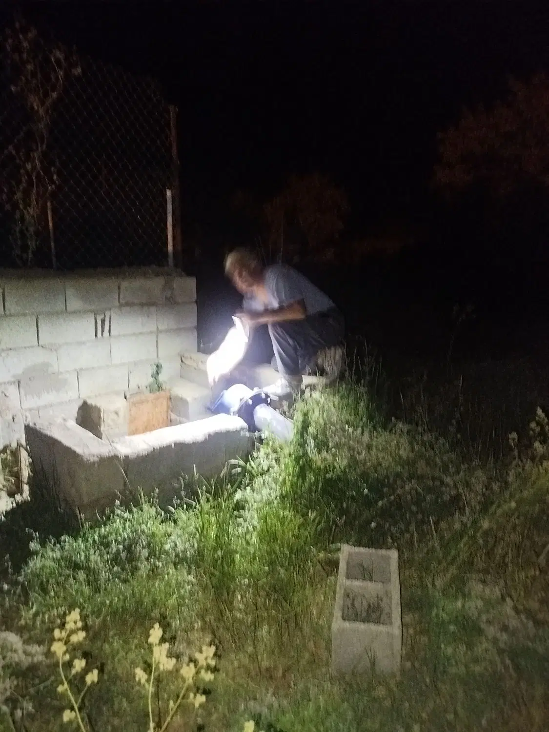 باغ جوشقان قالی