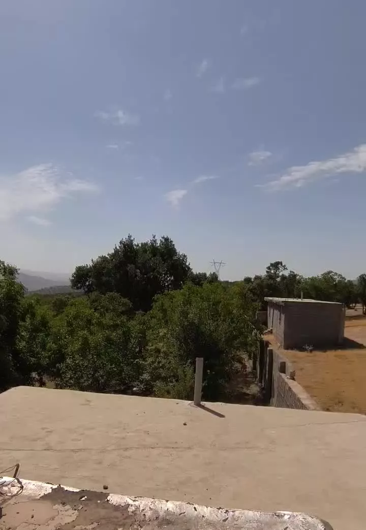 باغ ویلا