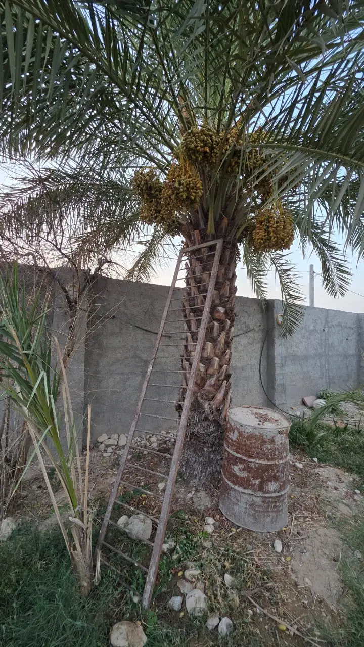 فروش ویلایی