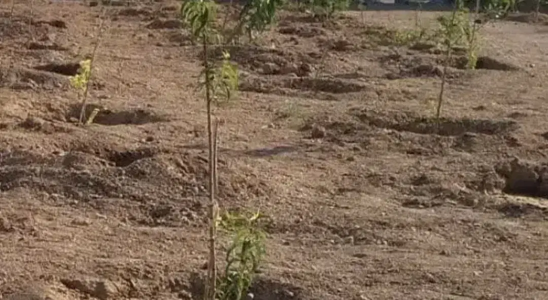 زمین مسکونی  ۲۰۹متر
