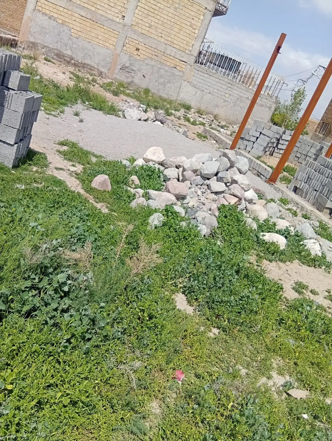 زمین