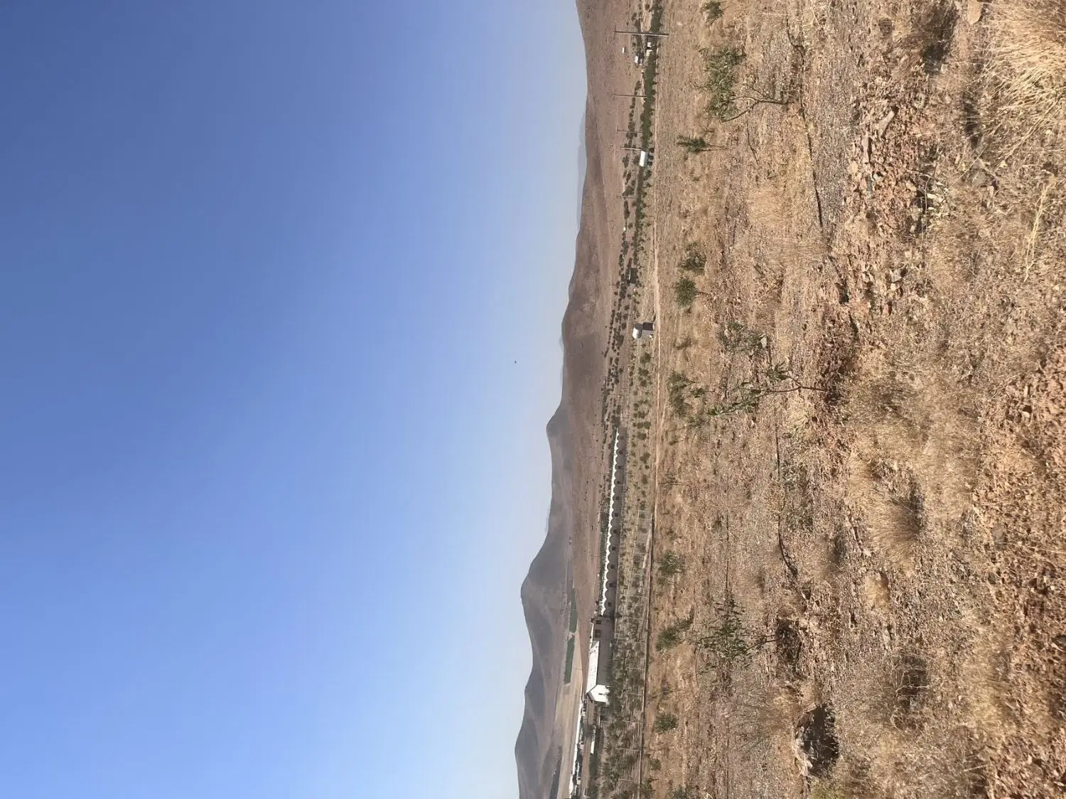 زمین باغی