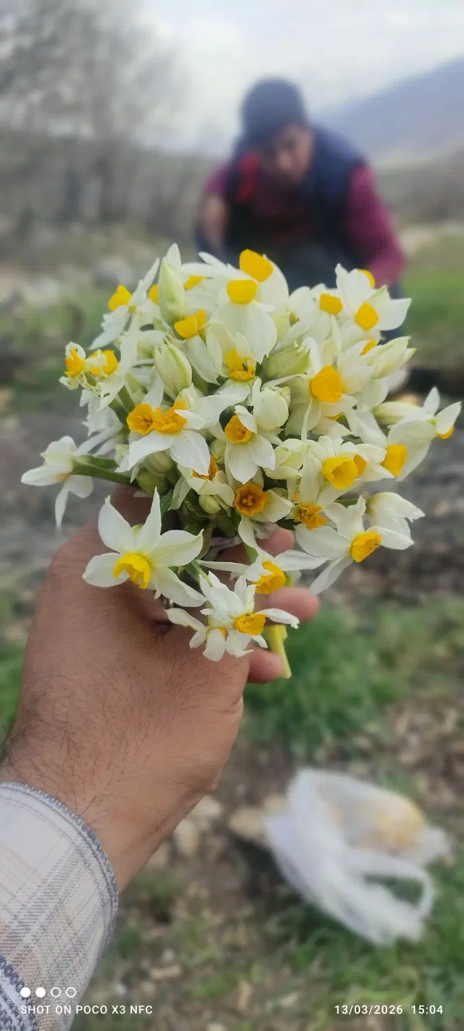 واگذاری مغازه پارچه فروشی در قلب بازار