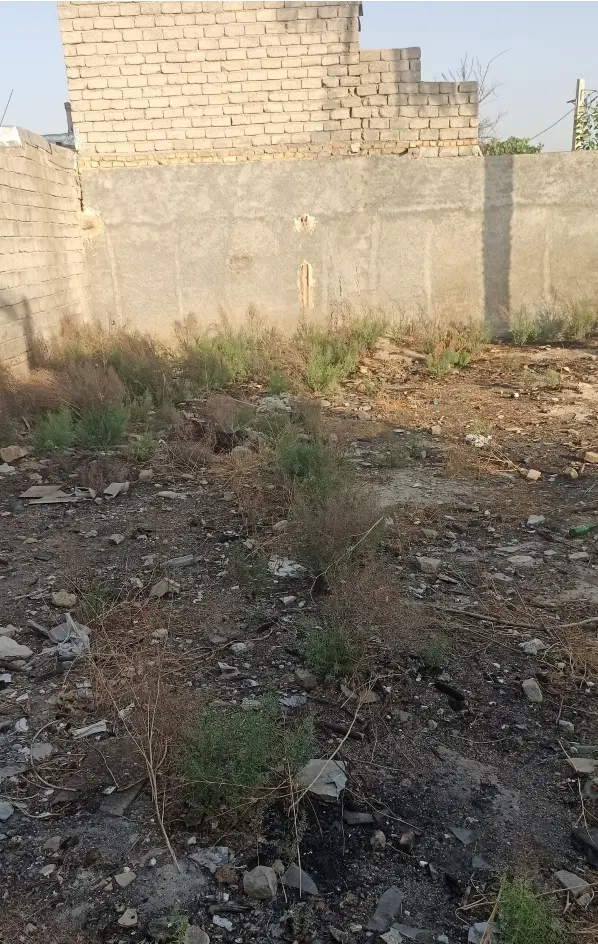 زمین مسکونی
