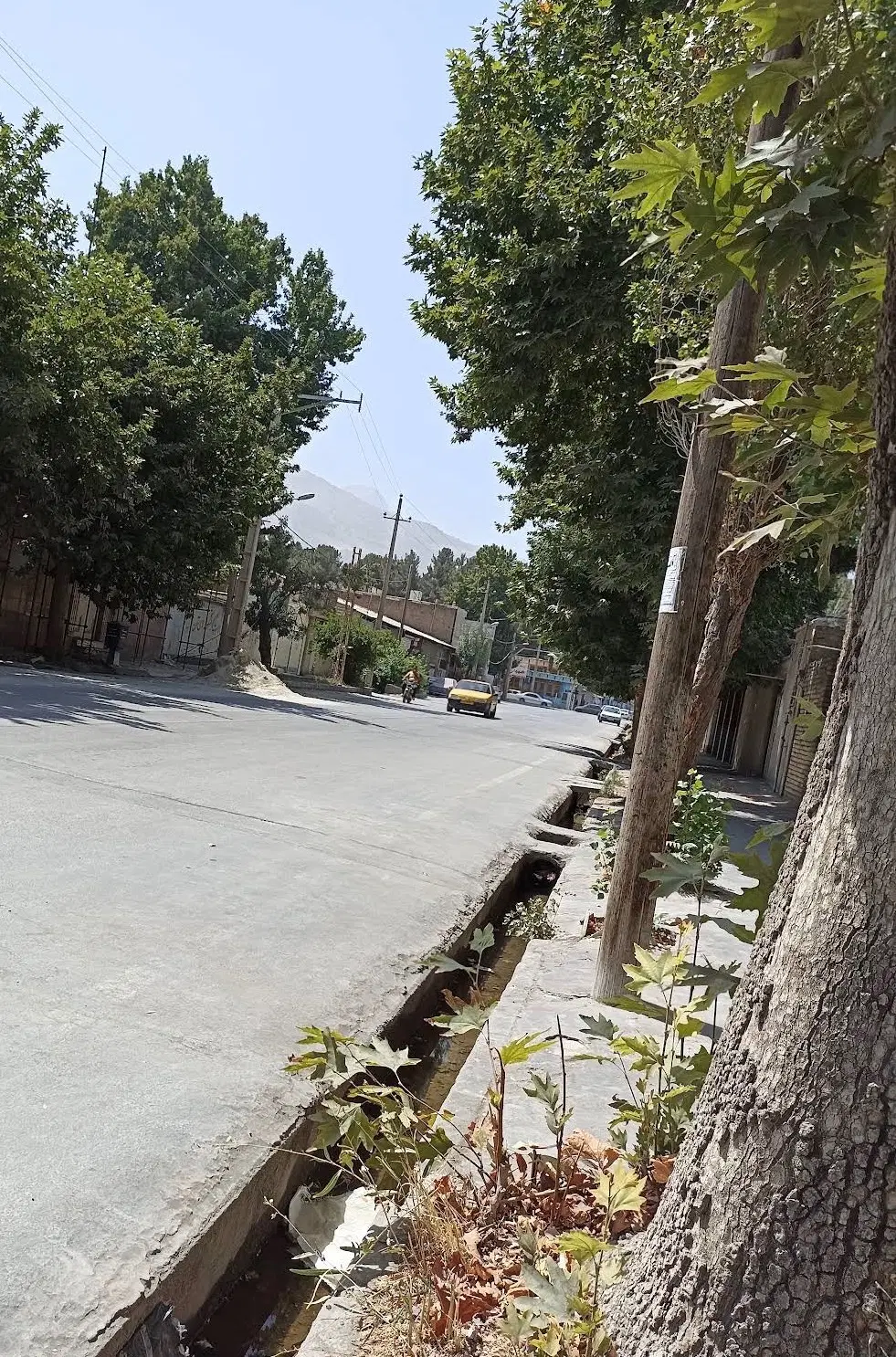 فروش مغازه و منزل مسکونی