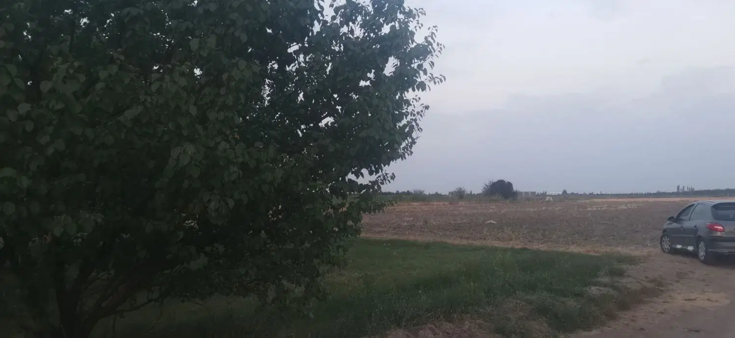 زمین زراعی با آب و برق