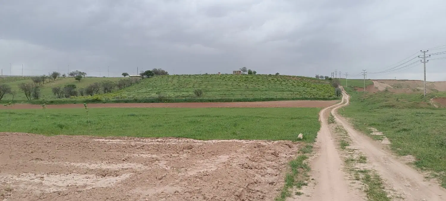 زمین سندار فروشی متراژ دلخواه