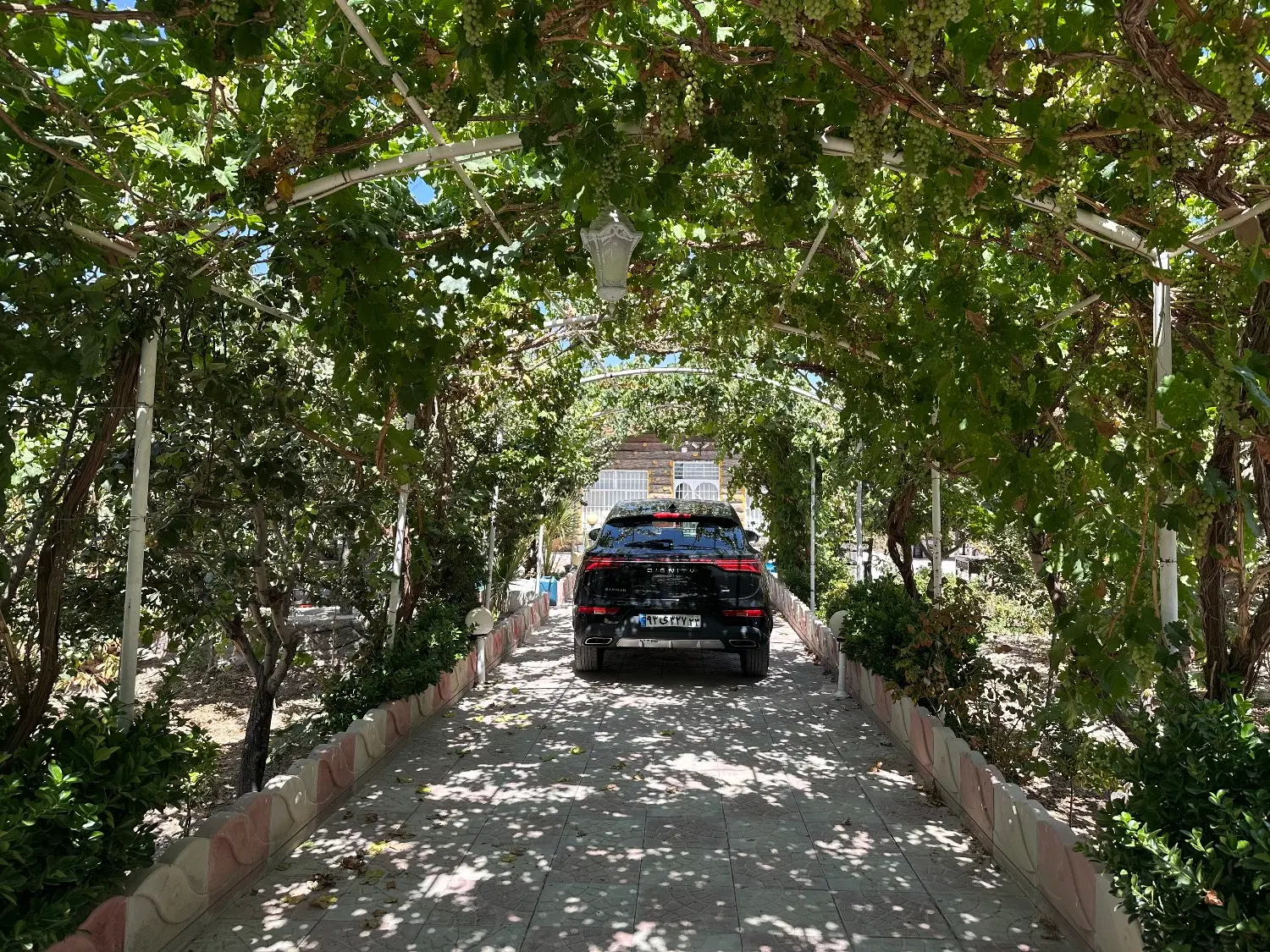 باغ