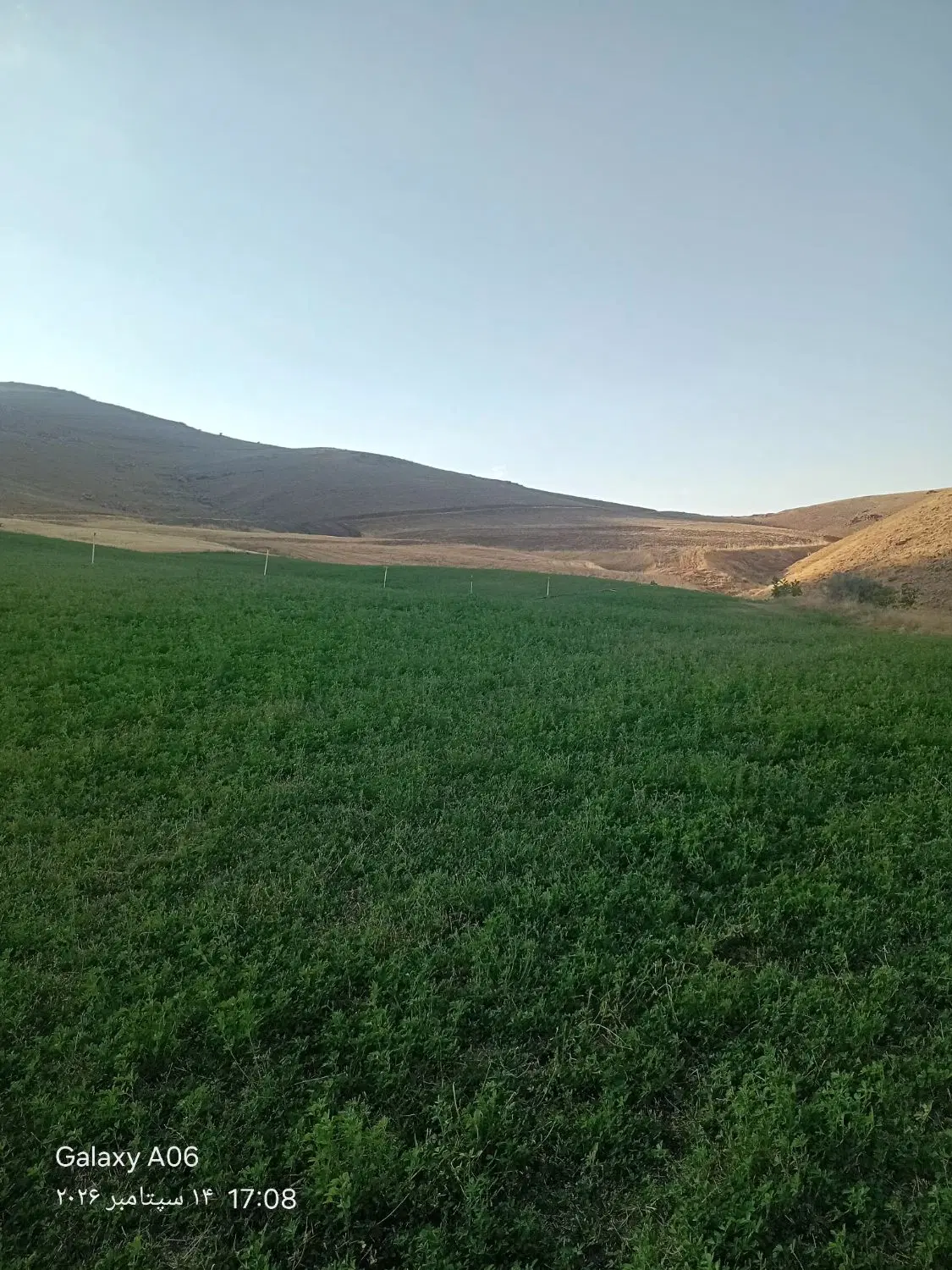 فروش زمین کشاورزی.
