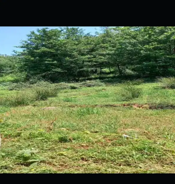 زمین ۵۰۰ متری شاده (اسلام ده)