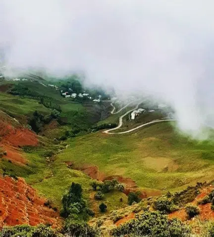زمین هکتاری