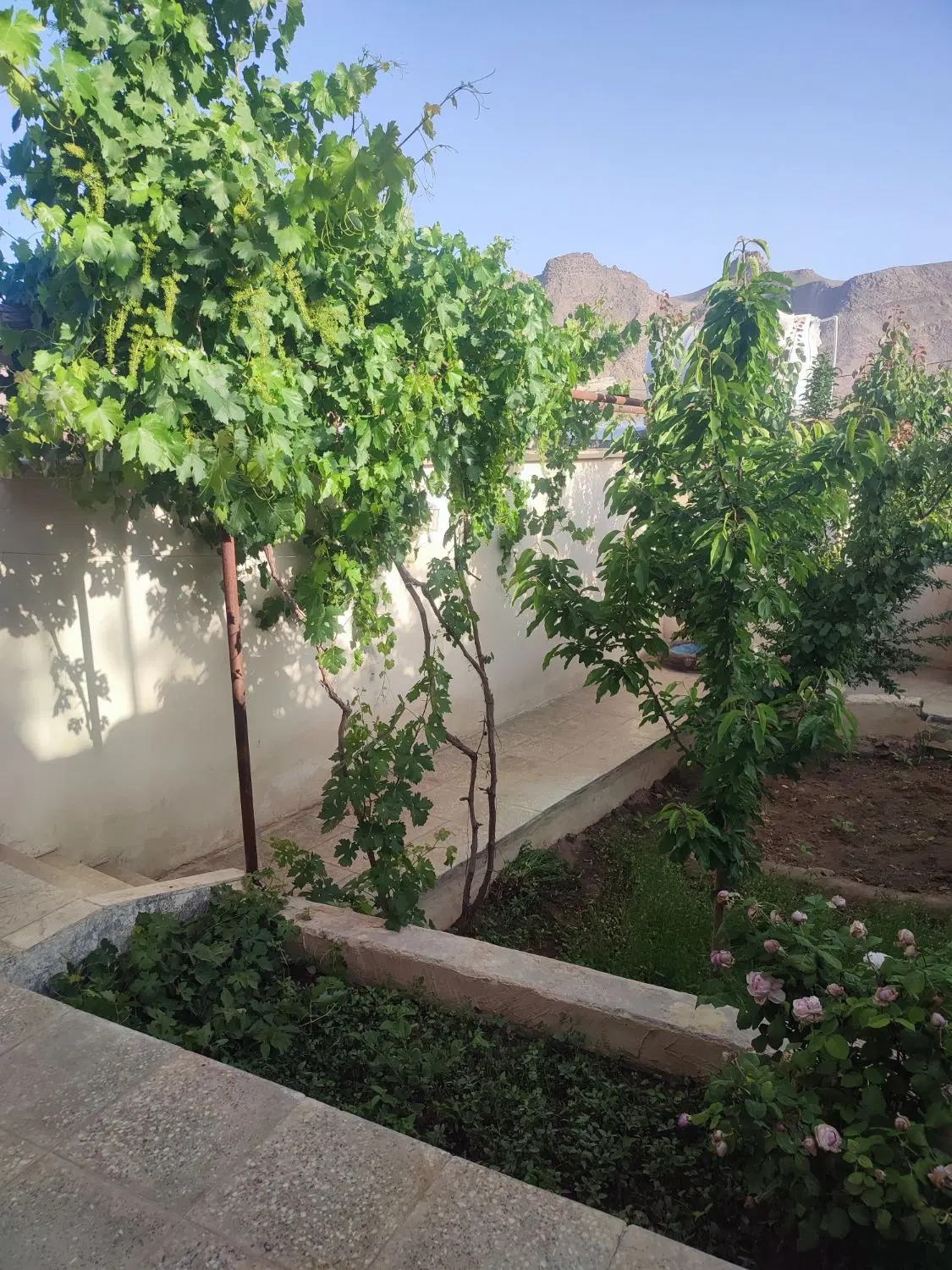 خانه نقلی به متراژ ۱۷۰مترواقع‌درتنگ‌چنار