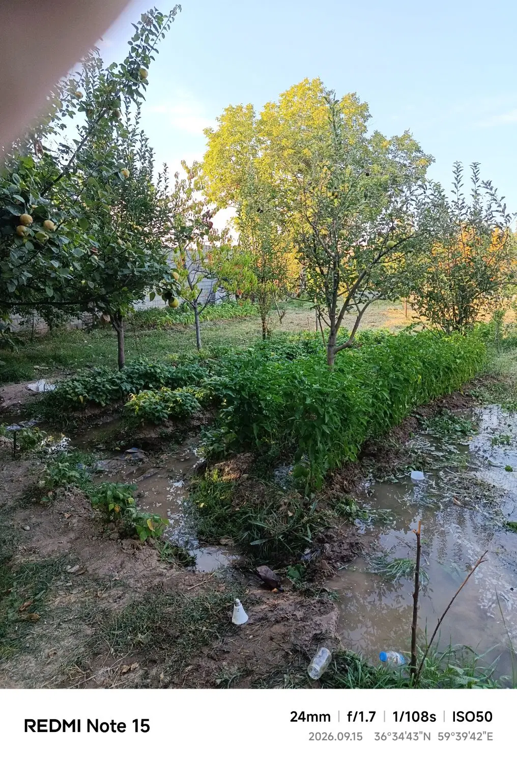 باغ در اندرخ