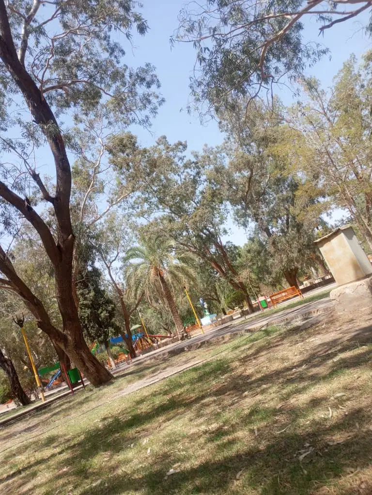 فروش زمین مسکونی در روستای دولت آباد انصاری