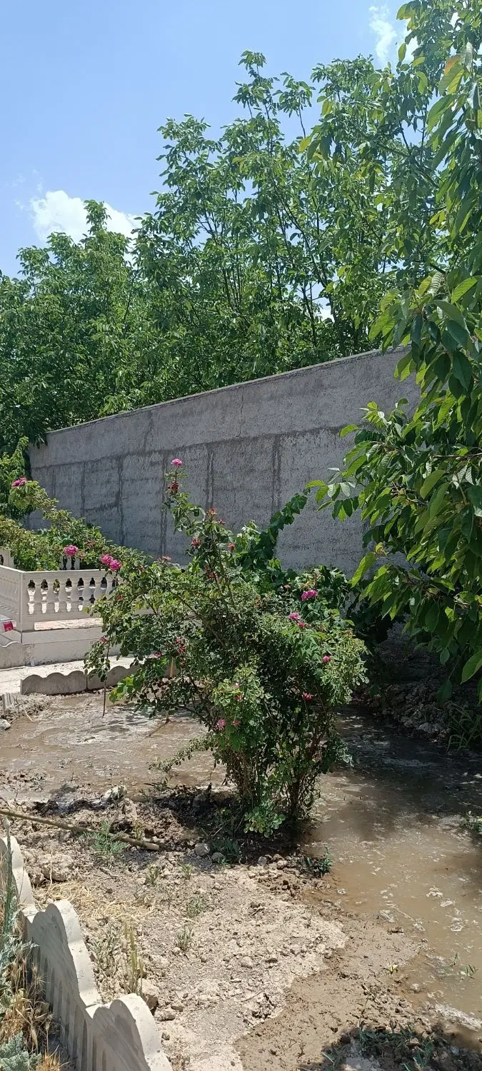 ۳۳۰ متر باغ میوه