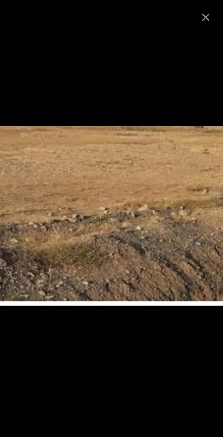 زمین زراعتی به متراژ ۳۲۰۰ .قیمت ۳میلیارد