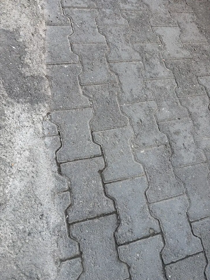 زمین جواز دار تک برگ