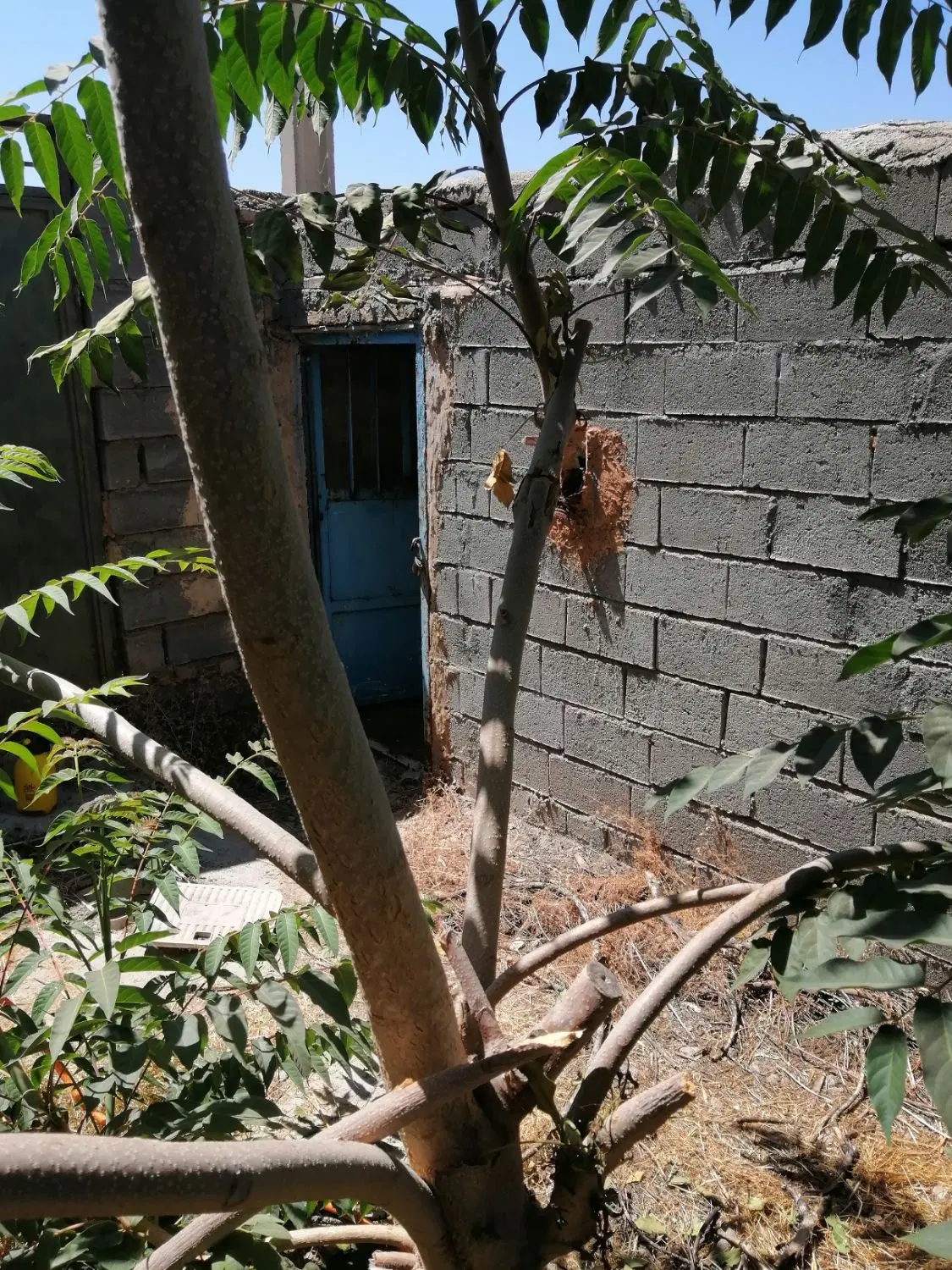 زمین مسکونی