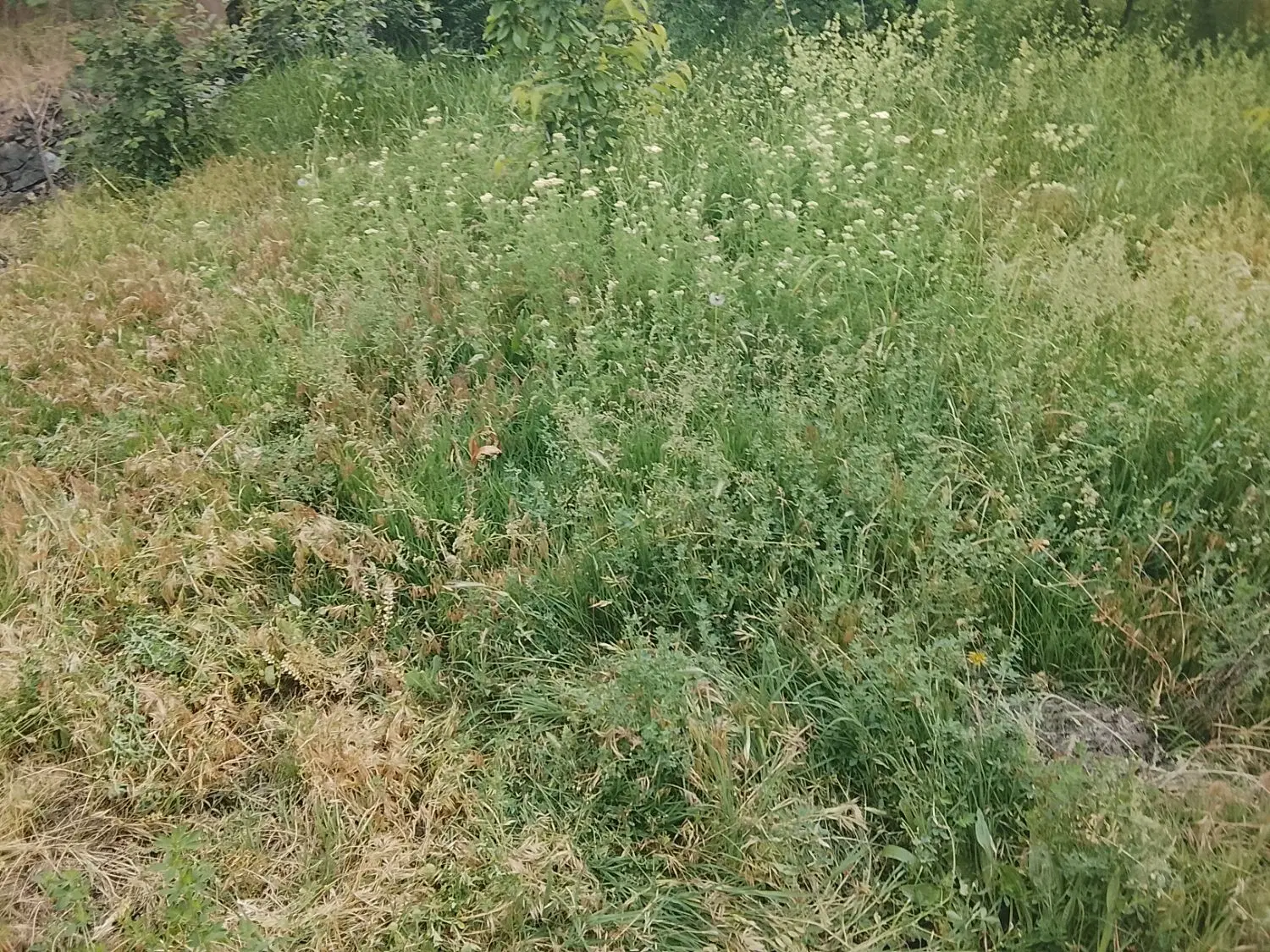 زمین مسکن ملی فقط معاوضه