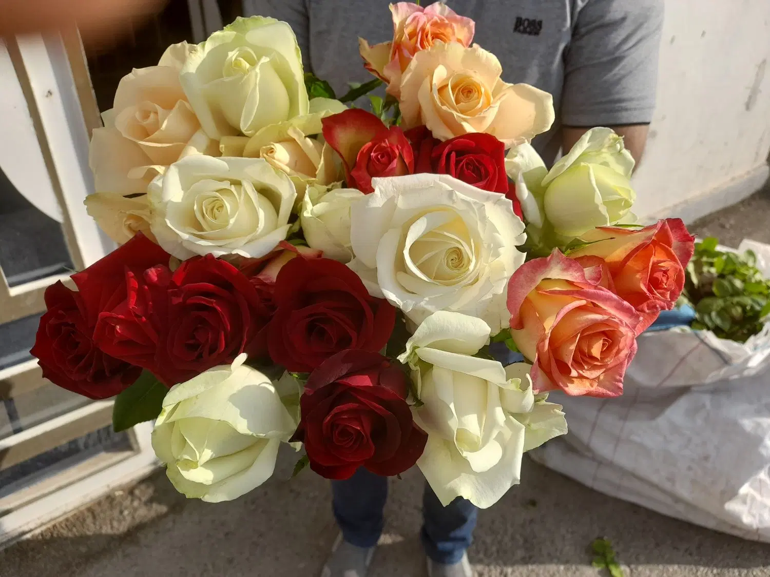 زعفرانیه بلوار ناصری