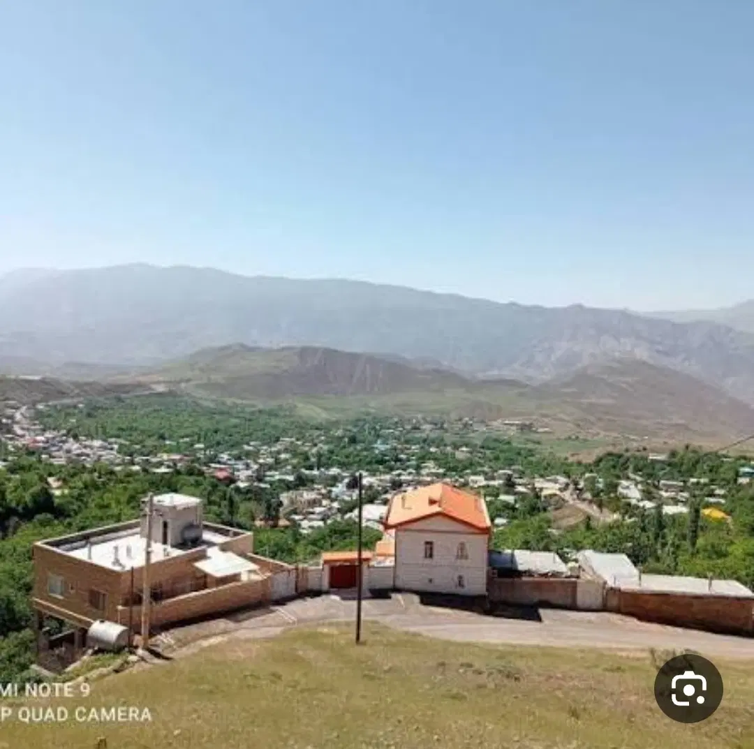 ملک سند تک برگ