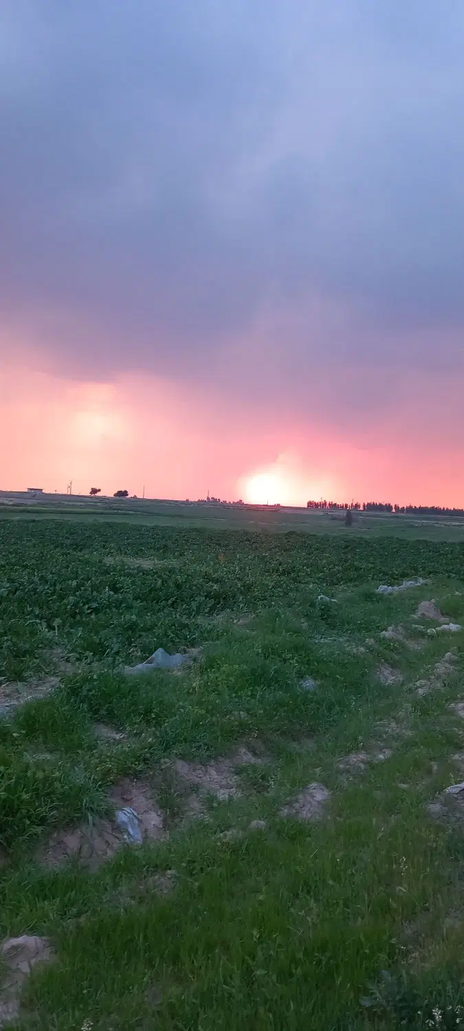 اجاره زمین برای باغ
