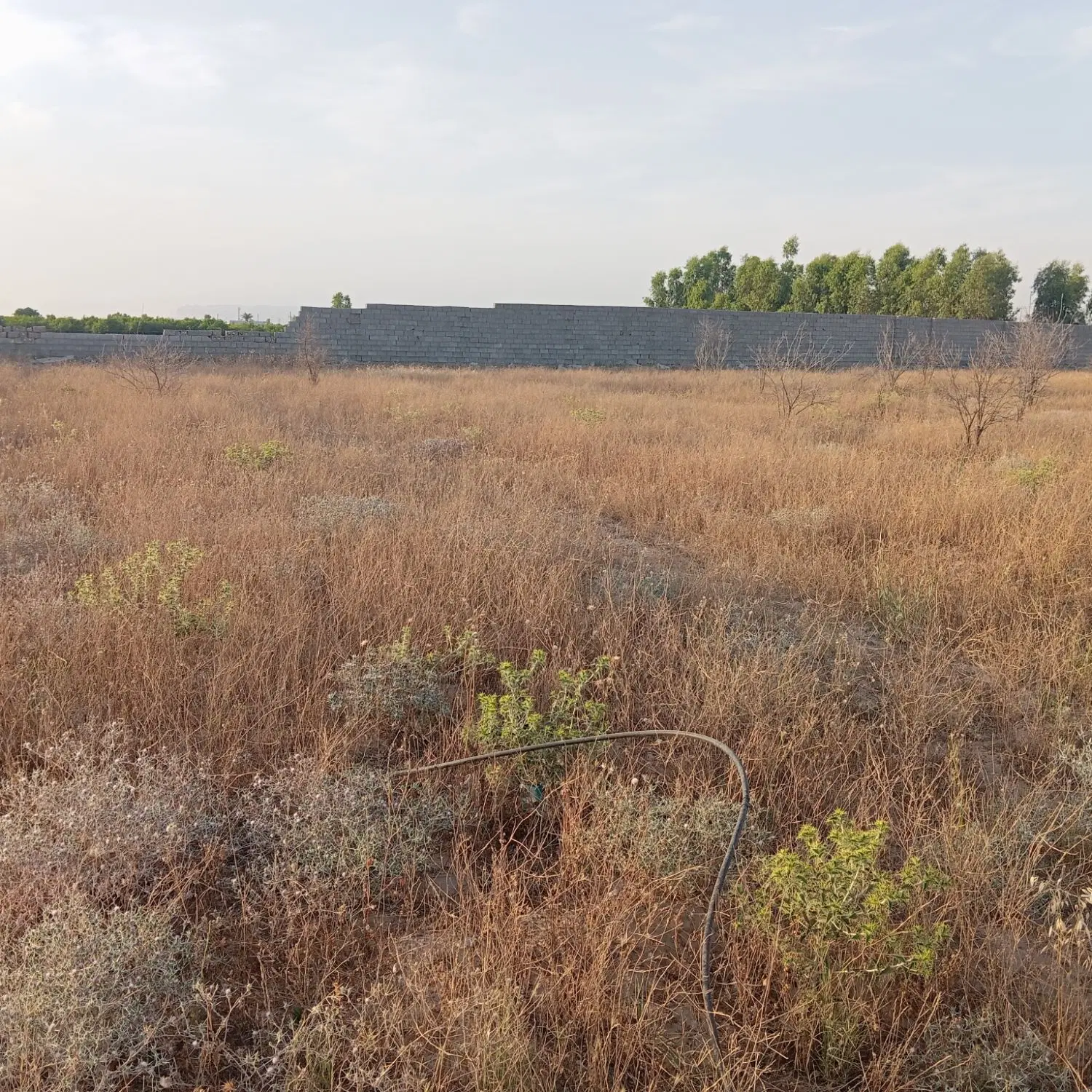فروش ۶۰۰متر زمین در کمر بندی ۹دی شهدای گمنام