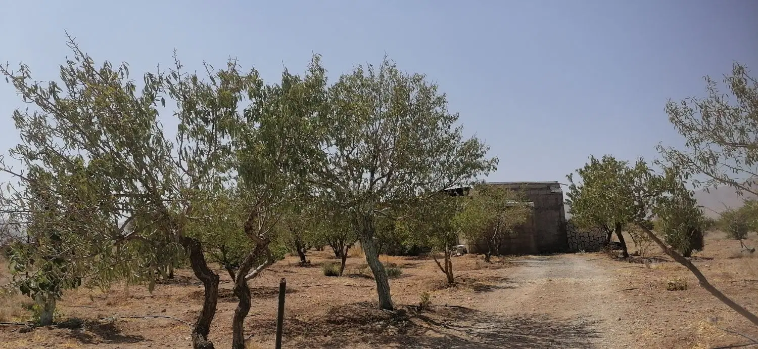 فروش باغ