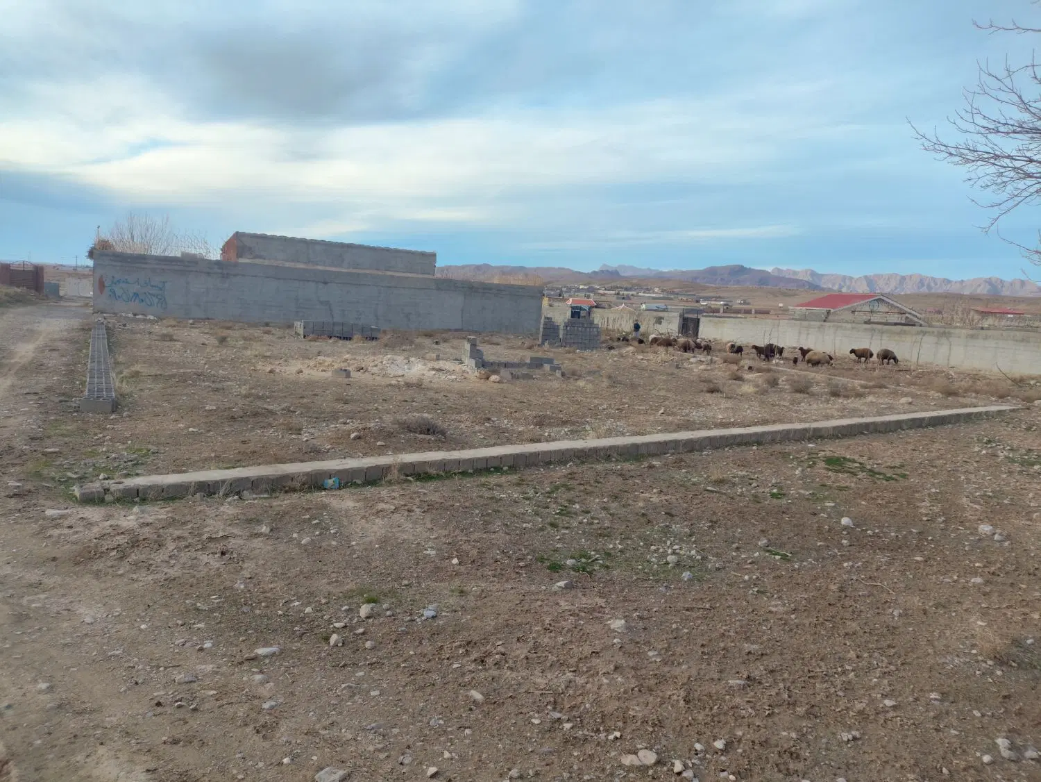 زمین باغی روستای ماریان