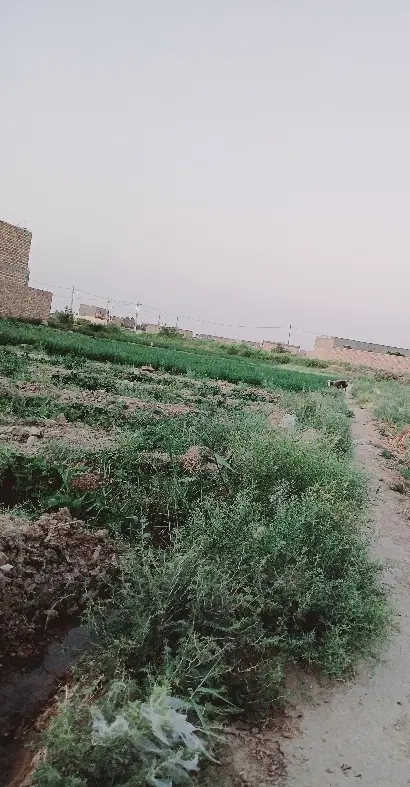 زمین فروشی ده سنجتی