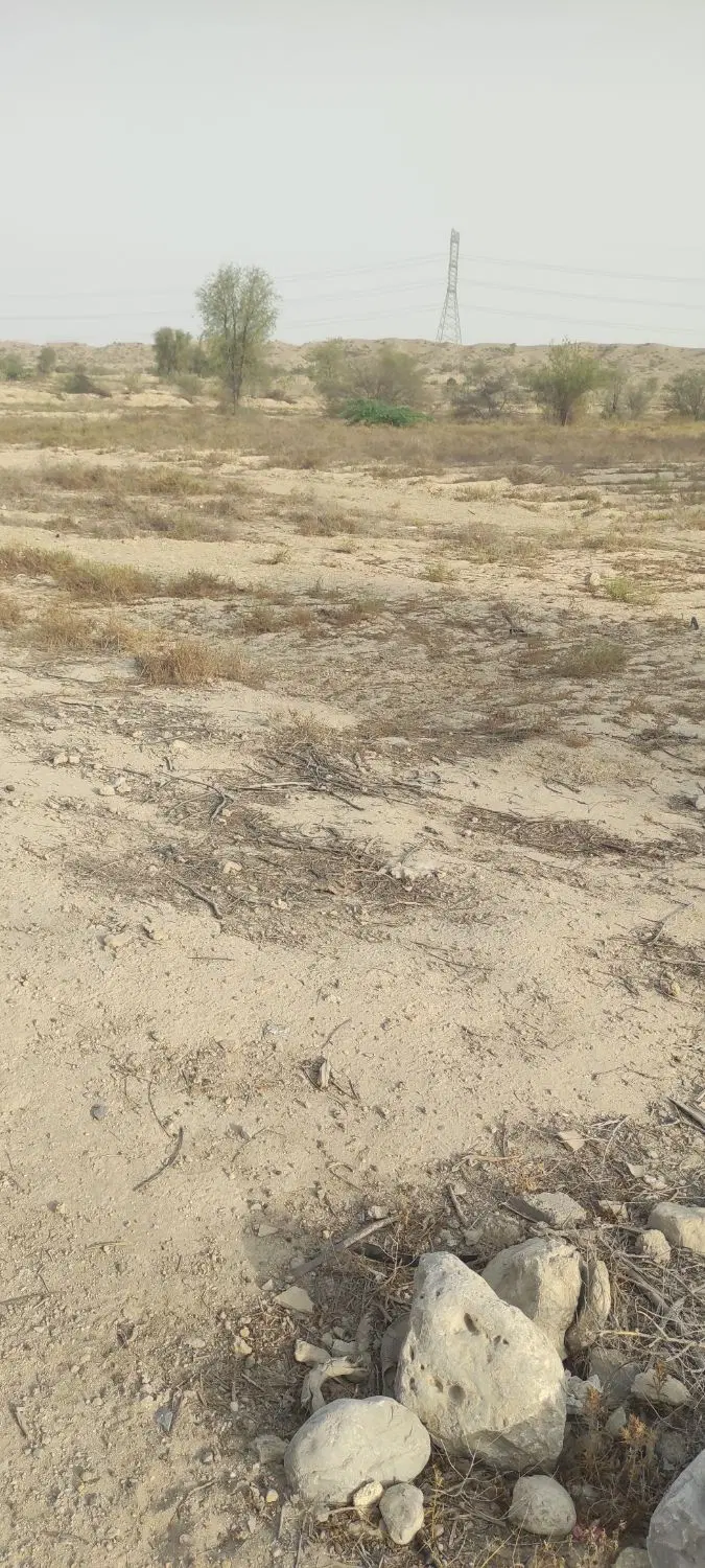 زمین ۵۱۰متری درروستای سرخون بندرعباس