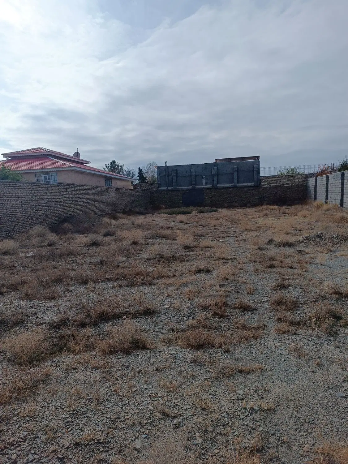 زمین باغی کاهو