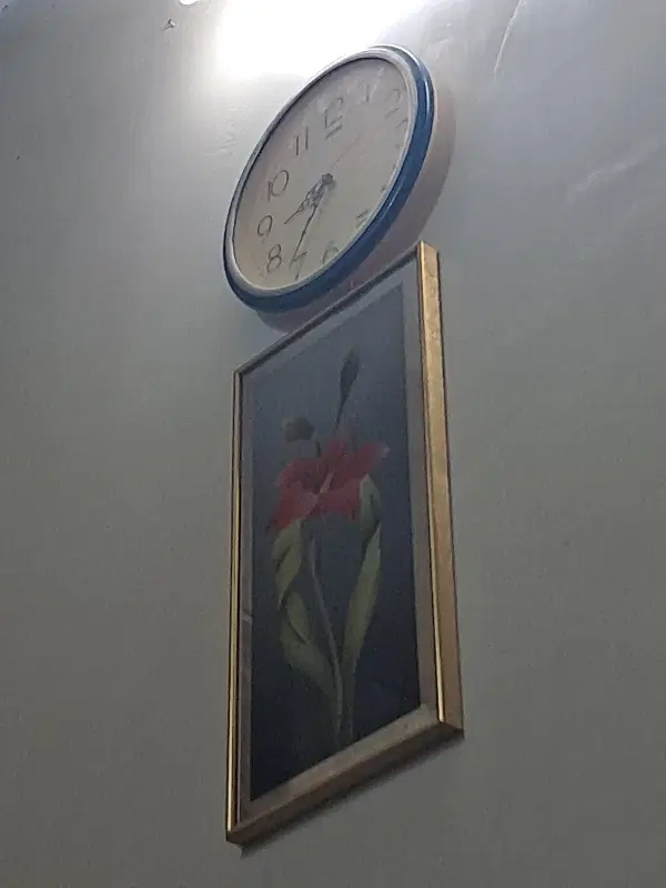 اجاره خانه