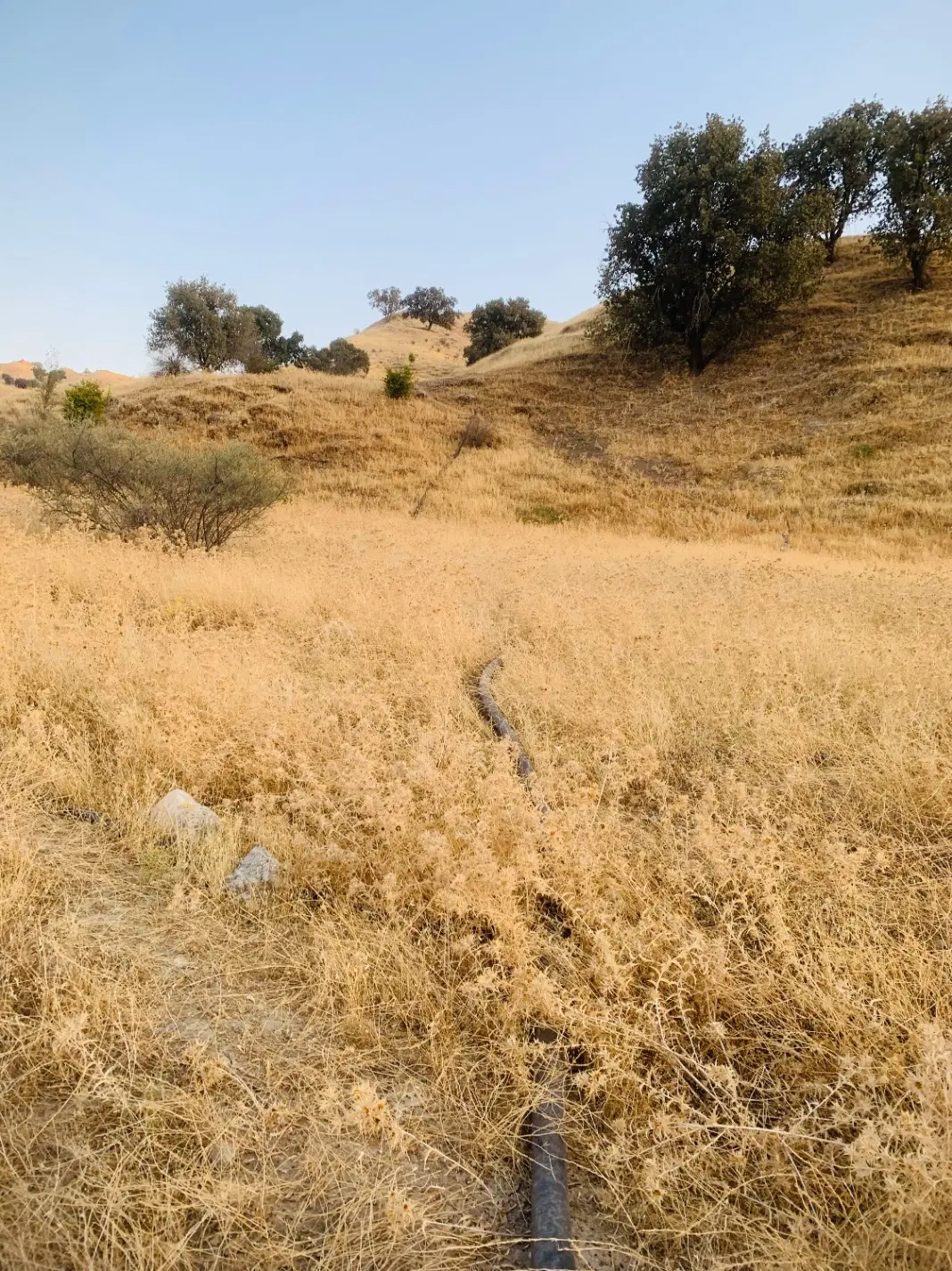 زمین کشاورزی کنار رودخونه زهره