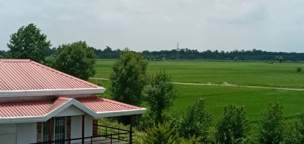 جنگل. دریا .کوه .مرداب نزدیک