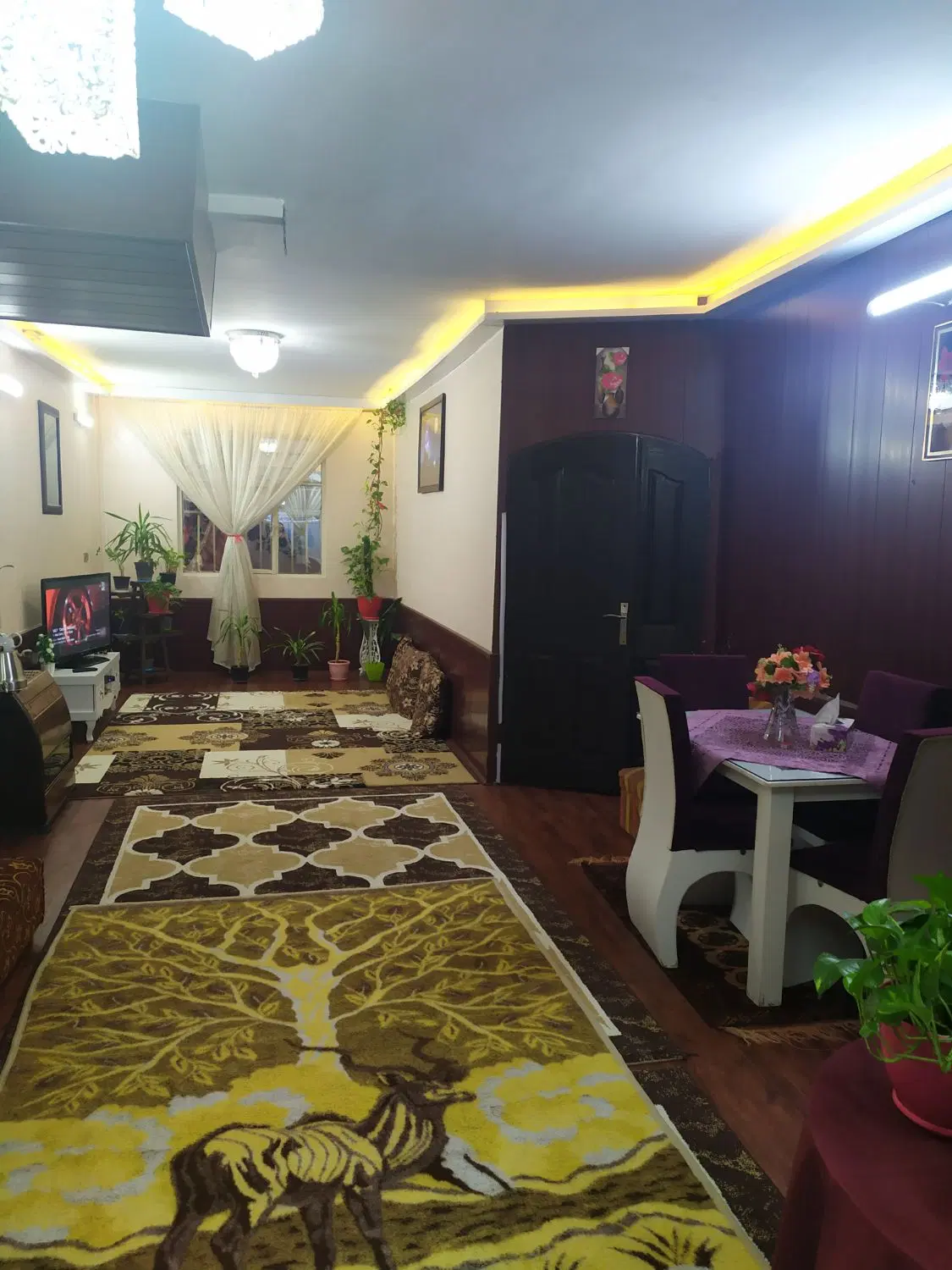 ۸۰ متر ۱ خواب با حیاط