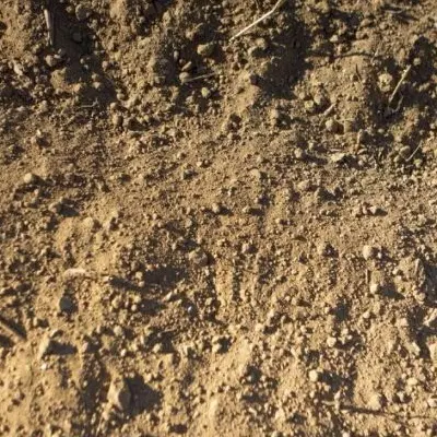 زمین کارخانه آرد