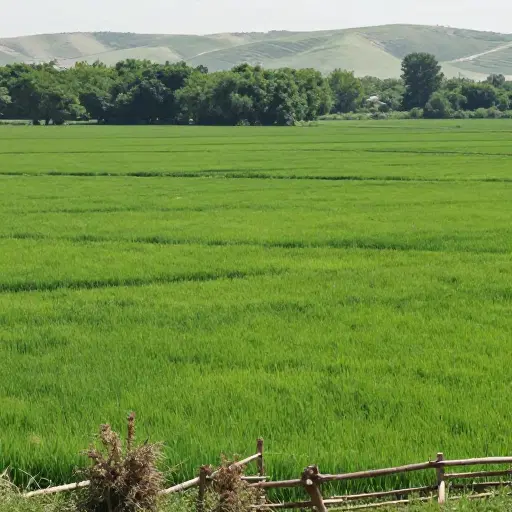 فروش زمین