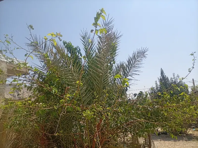 منزل مسکونی