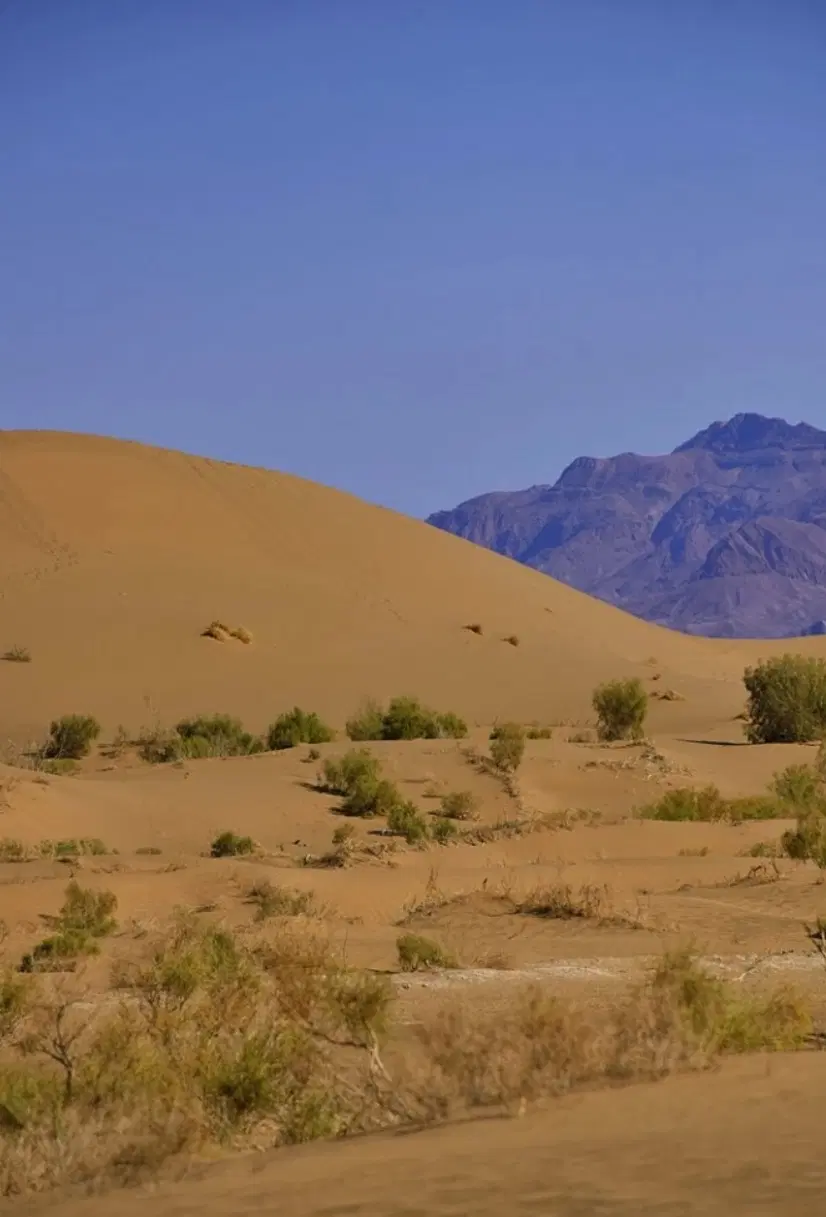 سهام همت صفا (همت اباد)