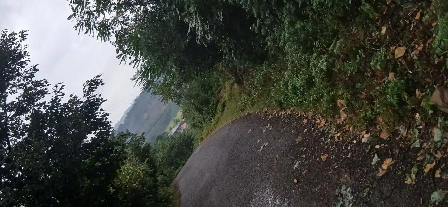 زمین باغی مسکونی